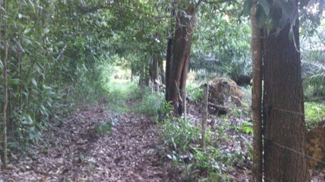 finca.2
