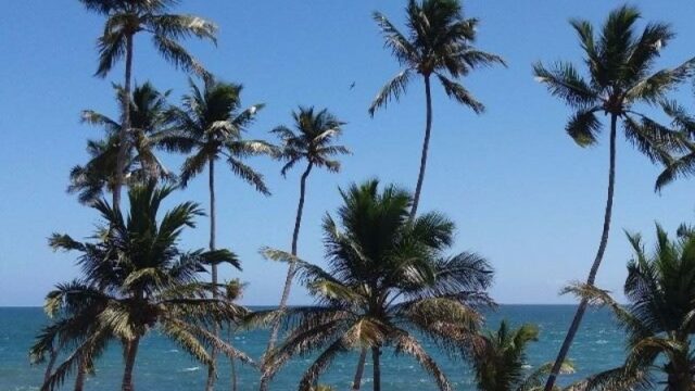 propiedades.playa_.1_thb-1