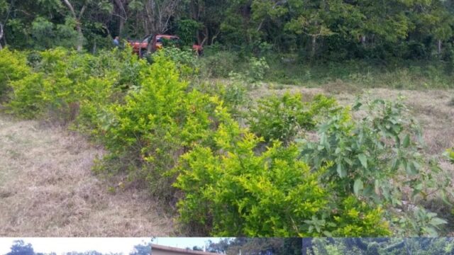 terreno.autopista.6.noviembre.heisel.2_thb-1