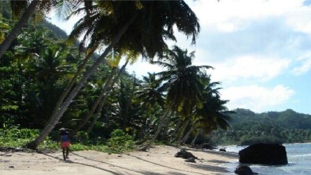 terreno.samana.juan_.luis_.rosario.7_thb