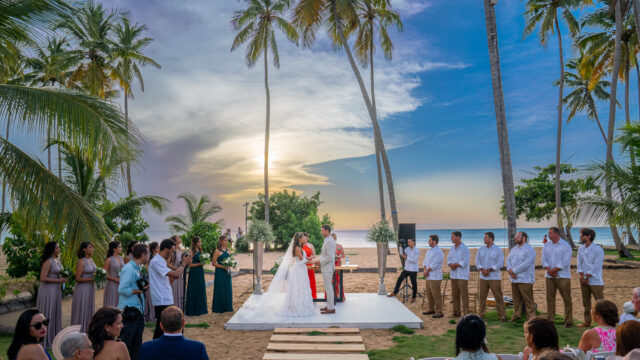 violin.boda_.7_thb-1